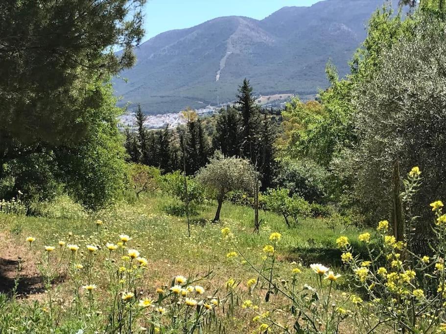 Appartamento Penthouse Apartment, Cortijo Fruitful Hills *