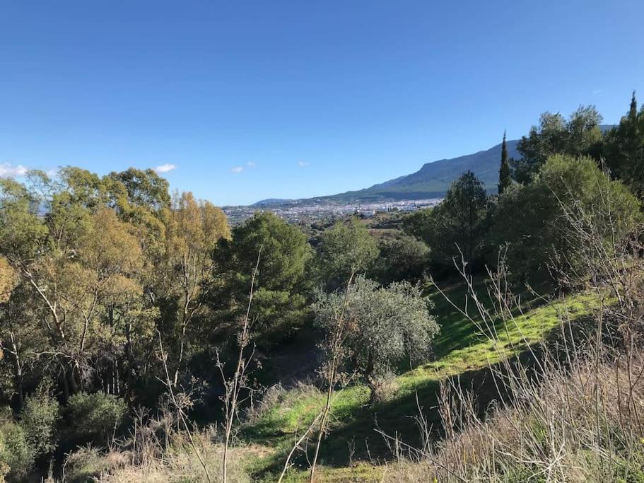 Appartamento Penthouse Apartment, Cortijo Fruitful Hills Málaga