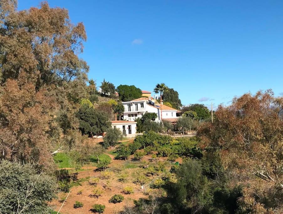 Penthouse Apartment, Cortijo Fruitful Hills Málaga